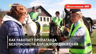 Как работает пропаганда безопасности дорожного движения