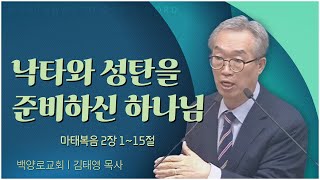 백양로교회 김태영 목사┃낙타와 성탄을 준비하신 하나님 [C채널] 말씀의창