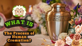 What Is the Process of Human Cremation? From Body to Memory