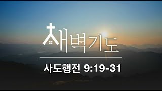 [포항큰숲교회] 24.5.20 새벽기도회