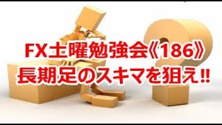 FX土曜勉強会《186》長期足のスキマを狙え‼