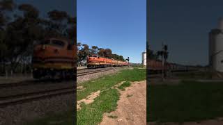 TRAINS AM22 ORA 1281S CLP17 CLF5 CLF6 CLP8 V544 23/09/2021 Monarto,  South Australia