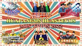 🎻Tríos Huastecos Huapangos 2022 Imperiales De La Sierra, Huapangueros Diferentes, Halcon Huasteco