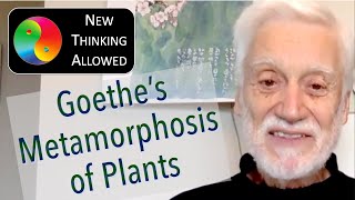 Goethe's Metamorphosis of Plants with Rolf Sattler