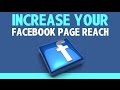 Top 10 Tips to Increase your Facebook Page Reach Top 10 Tips to Increase your Facebook Page Reach