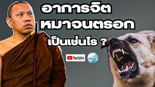 อาการจิตหมาจนตรอกเป็นเช่นไร? #ครูบาฉ่ายคัมภีรปัญโญ #พระสิ้นคิด #วัดป่าบ่อน้ำพระอินทร์ #อานาปานสติ