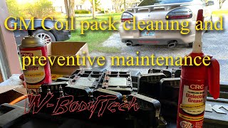 W-BodyTech - 3800 V6 coil pack cleaning and preventive maintenance Pontiac Grand Prix