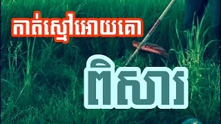 កាត់ស្មៅអោយគោ Cut the Grass