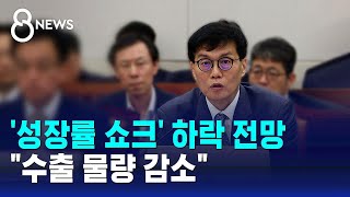 '성장률 쇼크' 하락 전망…\