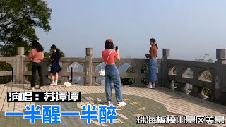 2023新歌《一半醒一半醉》苏谭谭，非常好听｜珠海板樟山美景