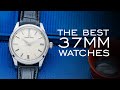 The BEST Watches With A 37mm Case (20 Watches)