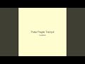 Pulse Fragile Tranquil