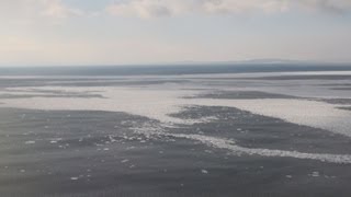 オホーツク海で流氷南下 北海道・能取岬沖