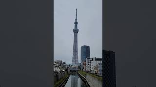 映えスポット！逆さスカイツリー！(Japanese Great spot reverse Sky tree)