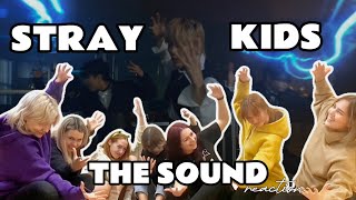 [REACTION] Stray Kids - The Sound M/V reaction by GML