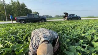 Pro Farmer Crop Tour Wednesday