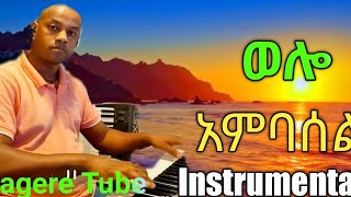 Beautiful Ethiopian instrumental Ambasel pitch/ምርጥ የአምባሰል ክላሲካል/Hagere Tube