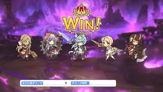 【プリコネR】終炎のエリュシオン vh フェーズ3  2種共通フルオート