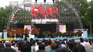 「東京農業大学　百笑」どまつり2013　久屋大通公園