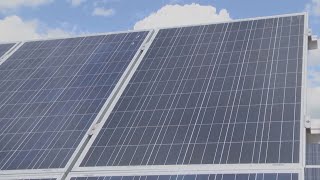 Cornell professor: solar battery risk ‘manageable’