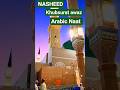 Muhammad Nabina Nasheed | Heart Touching Islamic Nasheed | Beautiful nasheed