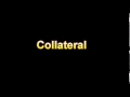 What Is The Definition Of Collateral - Medical Dictionary Free Online