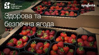 Здорова та безпечна ягода🍓