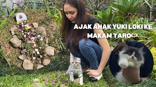 AJAIB BUFFY TAU JALAN KE MAKAM TARO TANPA DI KASI TAHU | VLOG