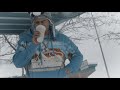 Ralfy The Plug - Forbes List || Dir. @IMNOTEVOL