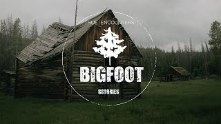 I Was Locked Out Of My House When A BIGFOOT Emerges From The Woods Walking Towards Me | SASQUATCH