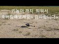 rc 헬기 기초 초급 비행 강좌 4강 후면 호버링 45도 돌리기 알씨 헬기 호버링 이대로만 하면 나도 헬기 파일럿 알씨 헬기 입문 호버링