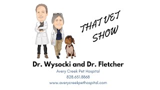 That Vet Show Ep 1: Ticks and Lyme Disease