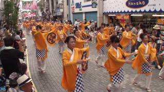 大橋通り踊り子隊　～2016高知よさこい祭り・本祭1日目(帯屋町演舞場)