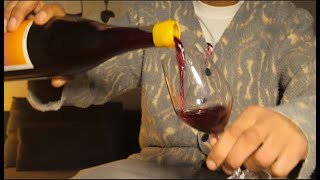 Tinto Amorio 'JaJaJa' Review | Natural Red Wine | Chilled Red Wine