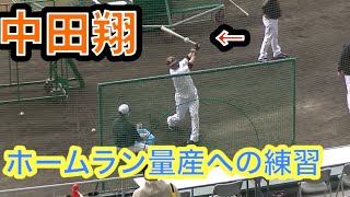 中田翔ティーバッティング これは落合が言ってたフライあげるやつ？ ～ジャイアンツキャンプ 2022年2月16日 沖縄