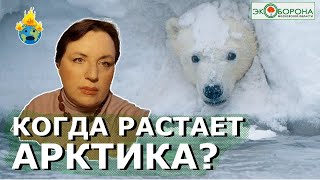 💦Экологическое ЧП - декабрь 2024. Будущее мрачно... но есть то, что обнадеживает!