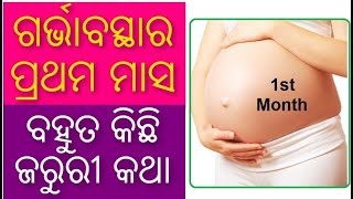 1st month of pregnancy Odia | ଗର୍ଭାବସ୍ଥାର ପ୍ରଥମ ମାସ Tips for 1st month pregnant Odia Pregnancy Tips