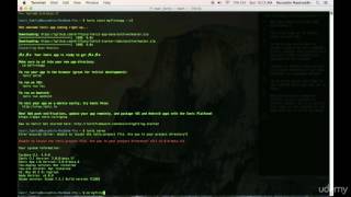 Ionic 2 tutorial part - 3 - Install Ionic framework to the system