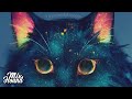 Chillstep | Aurora Night - Alusion