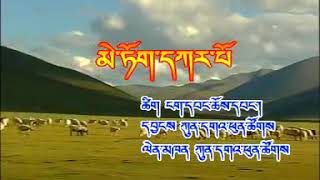 གླུ་བ་ཀུན་དགའ་ཕུན་ཚོགས། Tibetan song and singer kunga phuntsok.