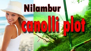 #Nilamburcanoliplot .നിലമ്പൂർ കനോലി പ്ലോട്ട് ഒരിക്കലെങ്കിലും കാണേണ്ടതാണ് #canolliplotnilambur