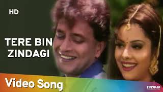 Tere Bin Zindagi (HD) | Heeralal Pannalal (1999) | Mithun Chakraborty | Bollywood Romantic Song