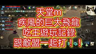 天堂m-(444)打-疾風的巨大飛龍-吃王遊玩記錄-跟敵盟一起打！！