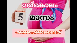 Five month pregnancy tip's/anjam masam garbhini ariyendath/pregnancy at five month/ അഞ്ചാം മാസം ഗർഭം