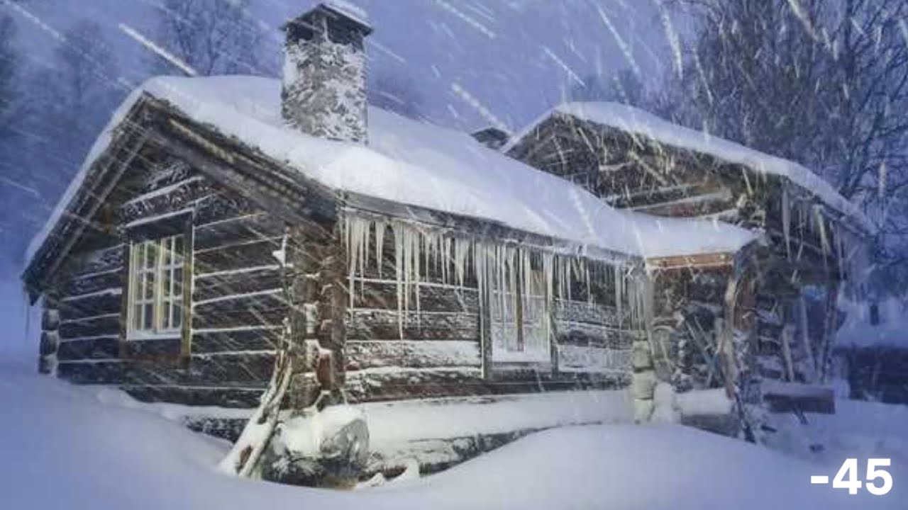 Trapped In A Deadly Snowstorm 45 Snowstorm And Wolves I M Hiding In A