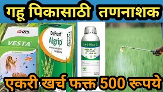 गहू पिकासाठी सर्वात चांगले तणनाशक फक्त 500 रुपयात!wheat spray management /फवारणी नियोजन!तणनाशक #24D#