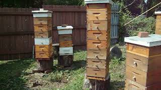 Farrar Hives, 8-frames @ ErieBeekeeping.com