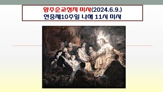 양주순교성지 미사(연중제10주일 나해 11시 미사  2024.6.9.)