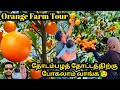 Orange🍊Farm Visit😲|🍊 Festival2024|Al-Hariq🇸🇦 |1st Srilankan OrangeFarmVisitVlog #srilankantamilvlog