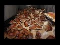 Mushroom Time-lapse 200qt Monotub